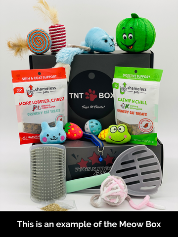DOG or CAT GIFTS - Toys N Treats Gift Boxes