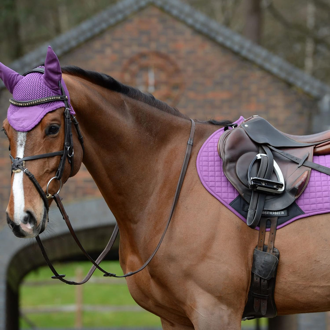 Prime Jump Shaped Saddle Pad, Purple Penant, Full