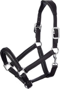 Anatomic Halter for Horses - Padded Leather & Metal Fittings - Adjustable